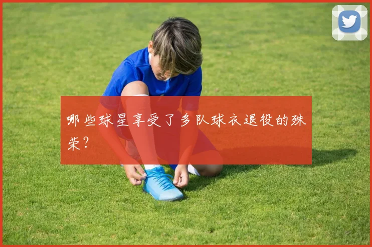 哪些球星享受了多队球衣退役的殊荣?