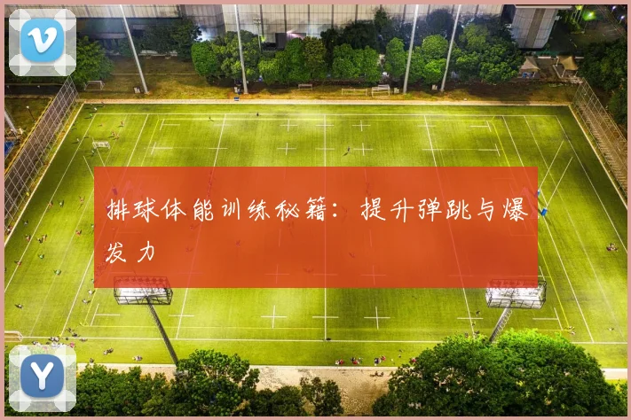 排球体能训练秘籍:提升弹跳与爆发力